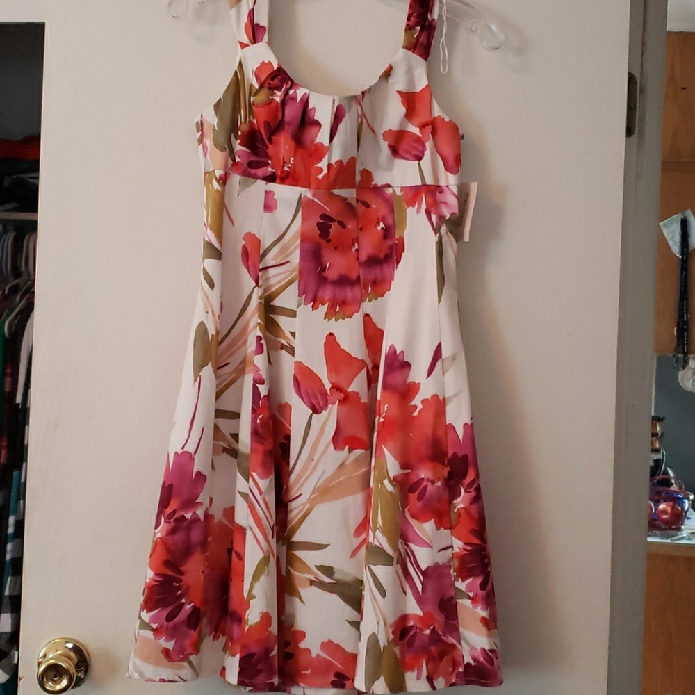 Dress Barn dress, brand new with tags, size 6P